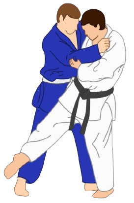 judo